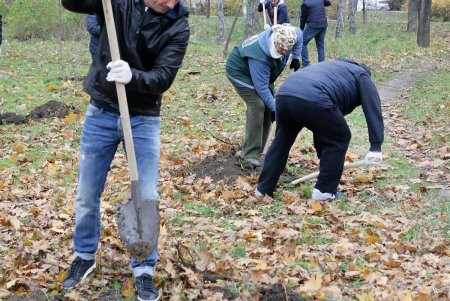 Любимый парк одесситов добавил зеленое убранство (фоторепортаж)
