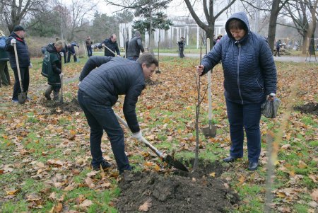 Любимый парк одесситов добавил зеленое убранство (фоторепортаж)