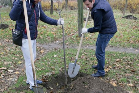 Любимый парк одесситов добавил зеленое убранство (фоторепортаж)