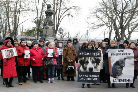 Митинг против живодеров прошел под одесской мэрией (фоторепортаж)