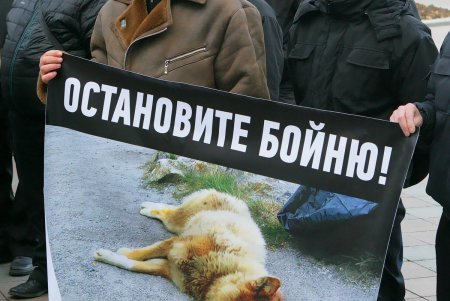 Митинг против живодеров прошел под одесской мэрией (фоторепортаж)