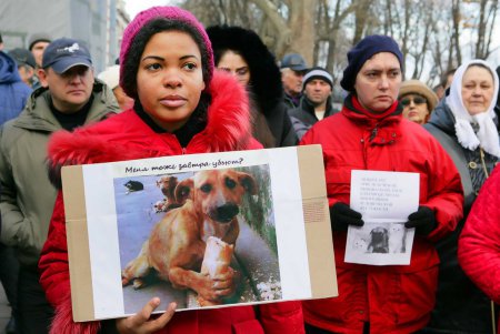 Митинг против живодеров прошел под одесской мэрией (фоторепортаж)