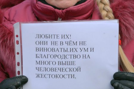 Митинг против живодеров прошел под одесской мэрией (фоторепортаж)