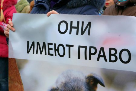 Митинг против живодеров прошел под одесской мэрией (фоторепортаж)