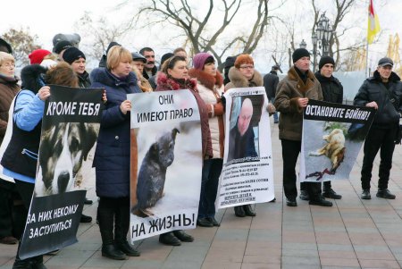 Митинг против живодеров прошел под одесской мэрией (фоторепортаж)