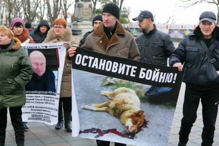 Митинг против живодеров прошел под одесской мэрией (фоторепортаж)