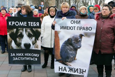 Митинг против живодеров прошел под одесской мэрией (фоторепортаж)