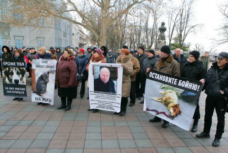 Митинг против живодеров прошел под одесской мэрией (фоторепортаж)
