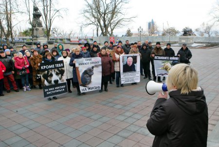 Митинг против живодеров прошел под одесской мэрией (фоторепортаж)