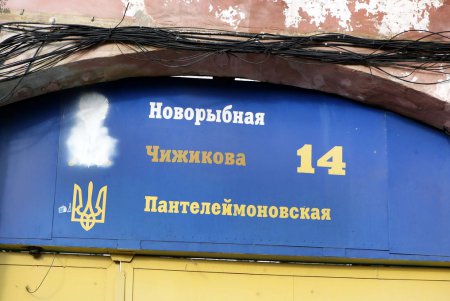 Громадный Тараканище «забрался» в детский дом Чуковского (фоторепортаж)
