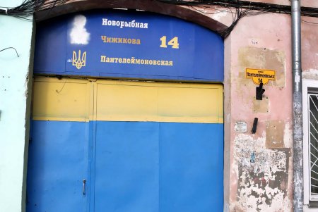 Громадный Тараканище «забрался» в детский дом Чуковского (фоторепортаж)