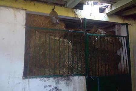 На территории ипподрома горела конюшня 