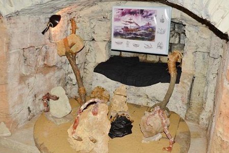 Одесситы попробуют себя в роли древних мореплавателей
