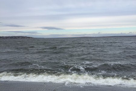 Работы на дамбе Хаджибейского лимана продолжаются (фото)
