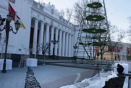 На Думской площади вырастает во всей красе главная новогодняя елка Одессы (фоторепортаж) 