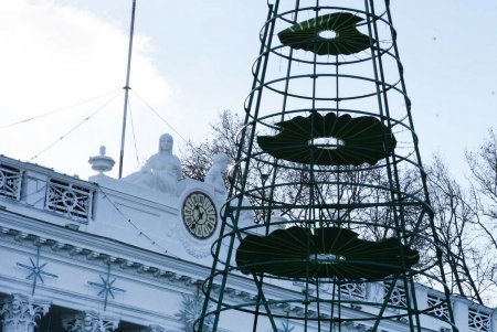 На Думской площади вырастает во всей красе главная новогодняя елка Одессы (фоторепортаж) 