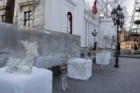 На Думской площади вырастает во всей красе главная новогодняя елка Одессы (фоторепортаж) 