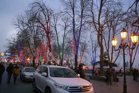 Главная новогодняя елка Одессы зажгла праздничные огни (фоторепортаж)