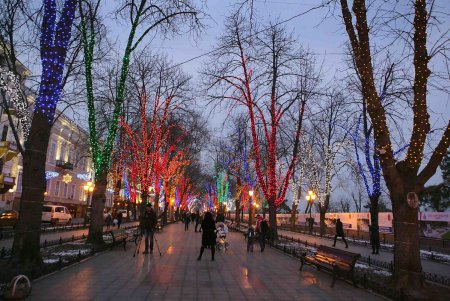 Главная новогодняя елка Одессы зажгла праздничные огни (фоторепортаж)
