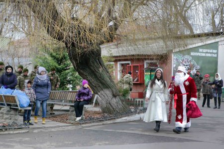 Символом наступающего года стал огненный петух Феня (фото) 