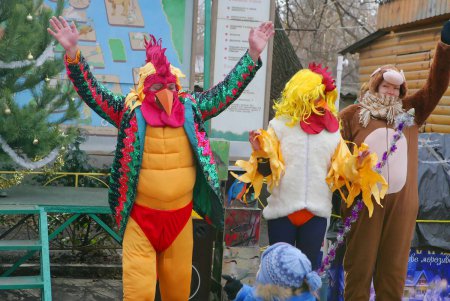 Символом наступающего года стал огненный петух Феня (фото) 