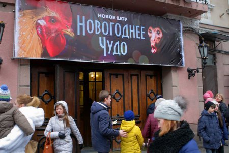 Новогоднее Чудо под куполом (фоторепортаж)