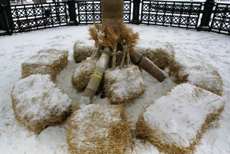 В Одессе появился Дидух — символ достатка и благополучия (фоторепортаж)