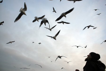 Черномор разбушевался (фоторепортаж)