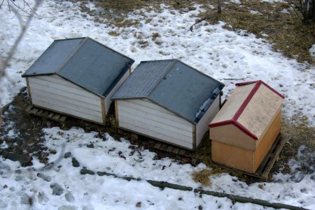 Приморский  бульвар, Потемкинская: середина января (фоторепортаж)