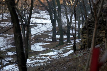 Приморский  бульвар, Потемкинская: середина января (фоторепортаж)