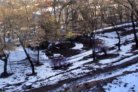 Приморский  бульвар, Потемкинская: середина января (фоторепортаж)