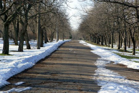 Савицкий парк: между прошлым и будущим (фоторепортаж)