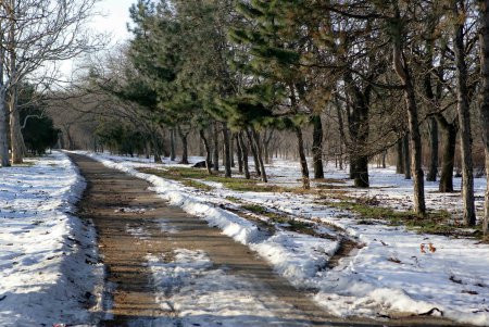 Савицкий парк: между прошлым и будущим (фоторепортаж)