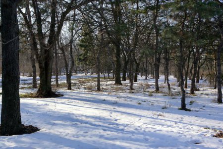 Савицкий парк: между прошлым и будущим (фоторепортаж)