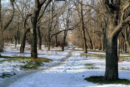 Савицкий парк: между прошлым и будущим (фоторепортаж)