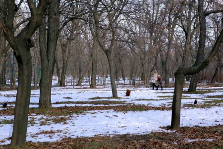 Савицкий парк: между прошлым и будущим (фоторепортаж)