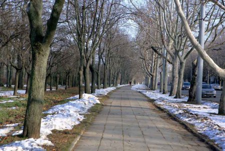 Савицкий парк: между прошлым и будущим (фоторепортаж)