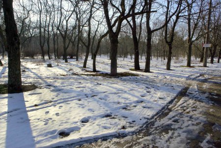 Савицкий парк: между прошлым и будущим (фоторепортаж)