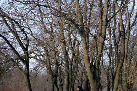 Савицкий парк: между прошлым и будущим (фоторепортаж)