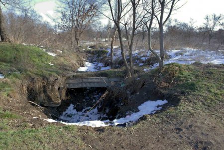 Савицкий парк: между прошлым и будущим (фоторепортаж)