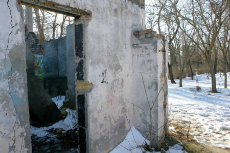 Савицкий парк: между прошлым и будущим (фоторепортаж)