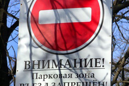 Савицкий парк: между прошлым и будущим (фоторепортаж)
