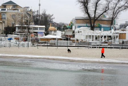 И январь — месяц роскошно «пляжный» (фоторепортаж)
