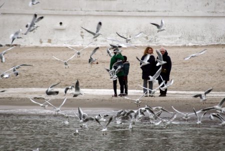 И январь — месяц роскошно «пляжный» (фоторепортаж)