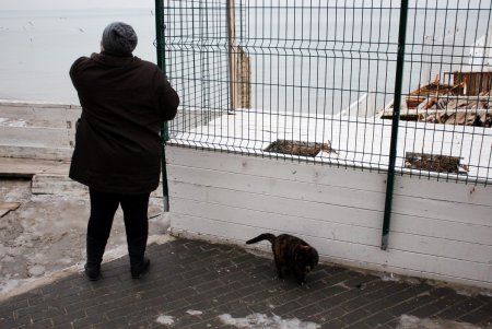 И январь — месяц роскошно «пляжный» (фоторепортаж)