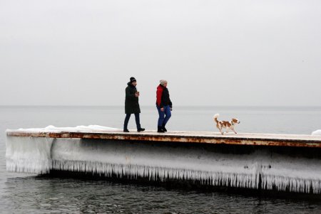 И январь — месяц роскошно «пляжный» (фоторепортаж)