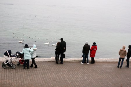 И январь — месяц роскошно «пляжный» (фоторепортаж)