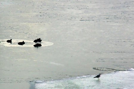 В Одессе море стало ледяным и сказочным (фоторепортаж)