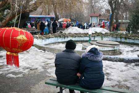 Красный Огненный Петух принимал гостей (фоторепортаж)