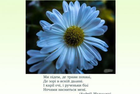Празднику влюбленных посвящается: книги, цветы и теплые встречи (фото)